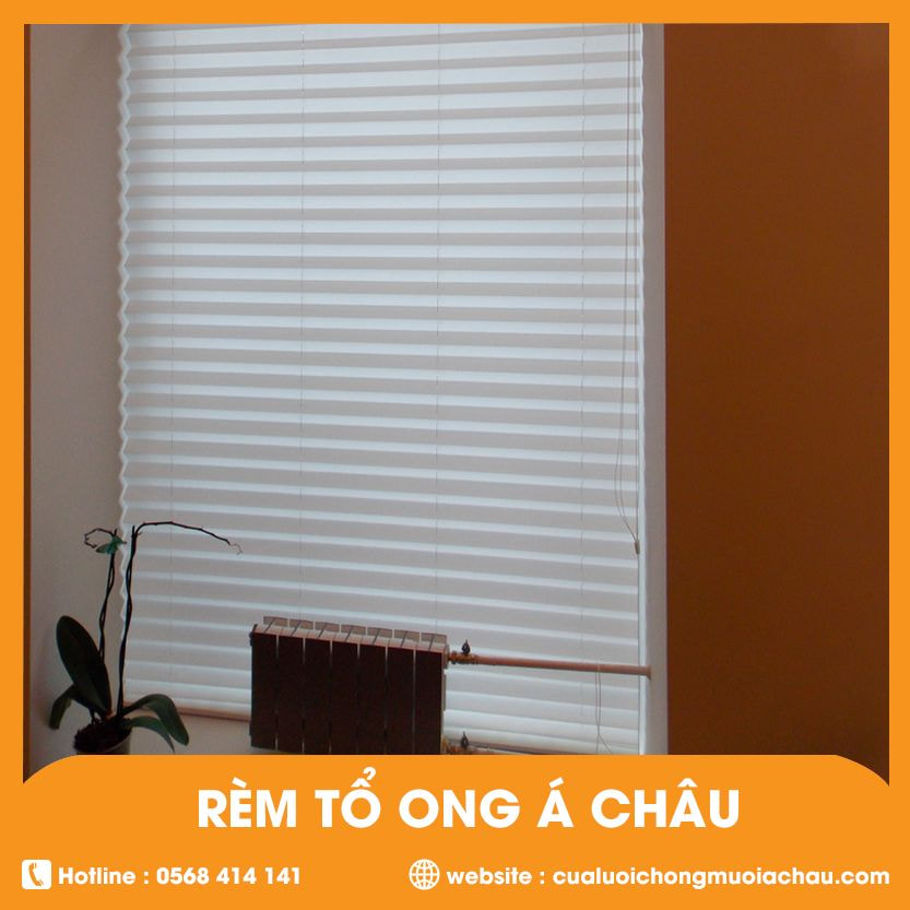 Rèm tổ ong á châu